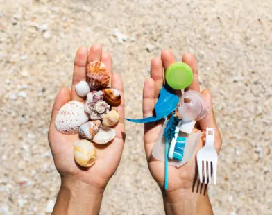 Plastic pollution