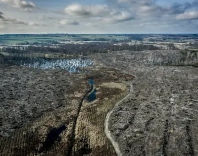 Biodiversity Loss