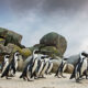 header relocating penguins 80x80